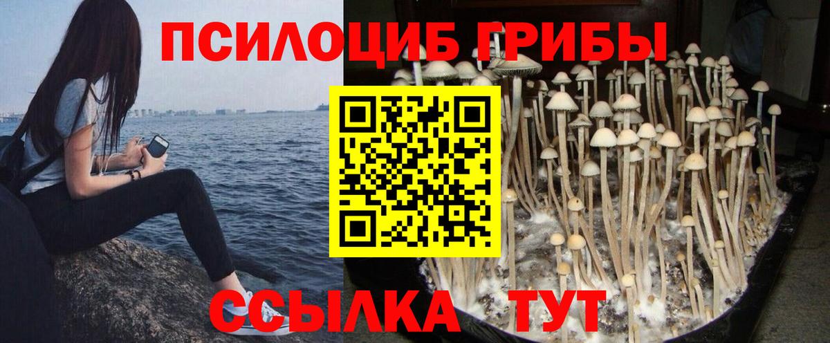 Ревда  Галлюциногенные грибы мухоморы  Вход с VPN  Псилоцибиновые грибы MAGIC MUSHROOMS 